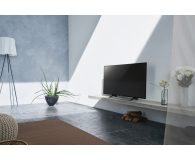 SONY KD43XE8005 - 355507 - zdjęcie 11